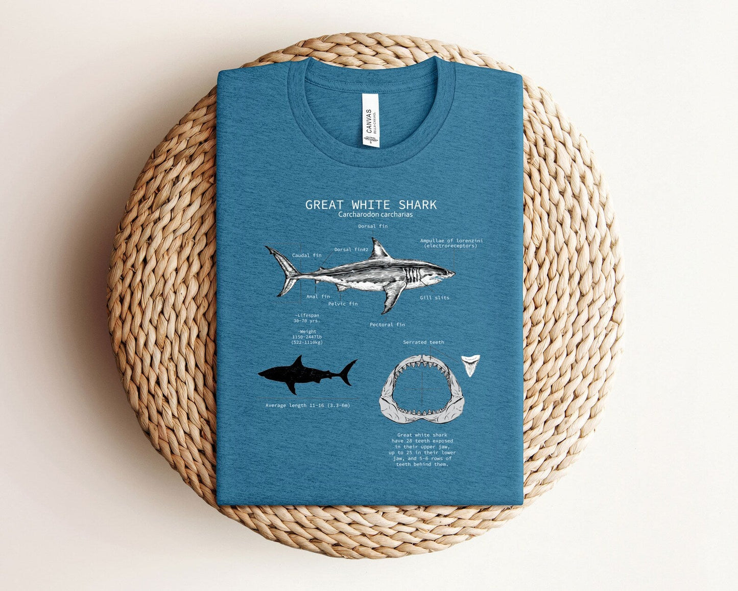 Great White Shark Tee V4