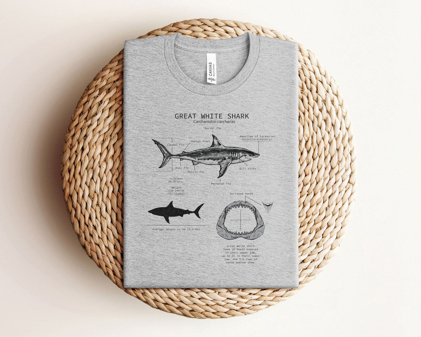 Great White Shark Tee V4