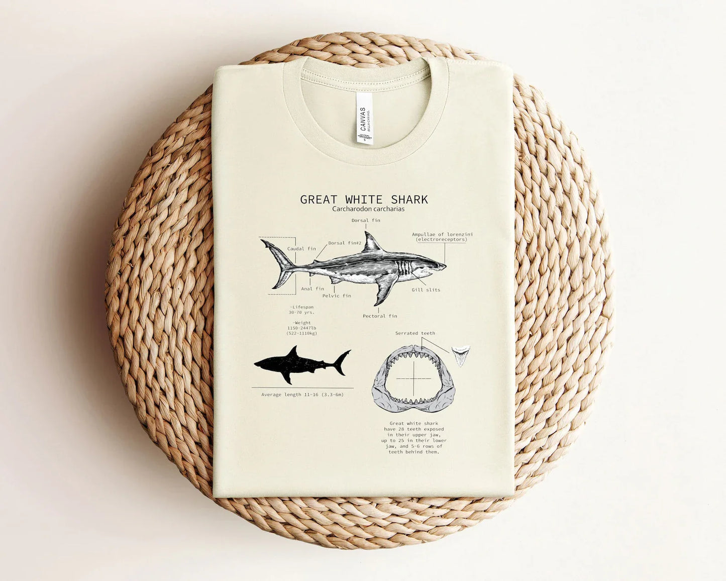 Great White Shark Tee V4