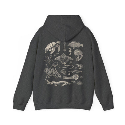 Sea Life Hoodie V2