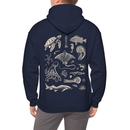 Sea Life Hoodie V2