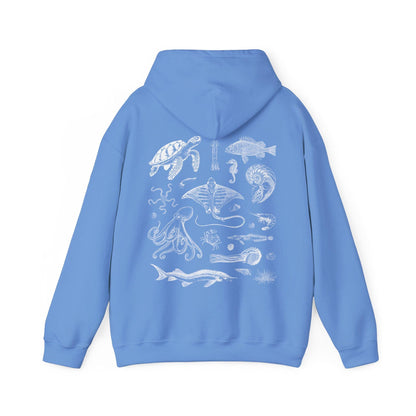 Sea Life Hoodie V2
