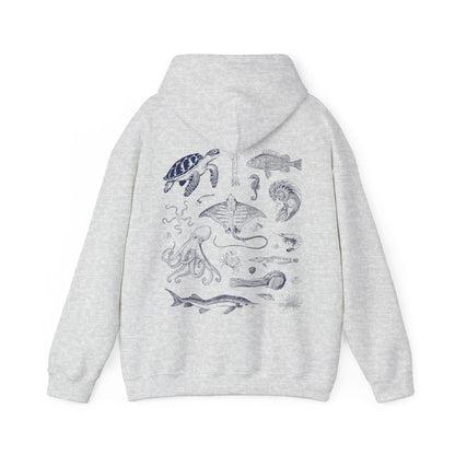 Sea Life Hoodie V2